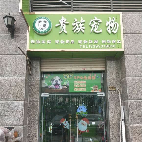 贵族宠物(恒大店):石家庄市桥西区新火车站附近