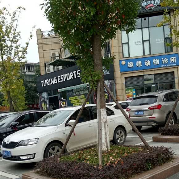 缘缘动物诊所:成都市崇州市崇州市附近