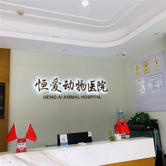 恒爱动物医院:自贡市自流井区华商国际城附近