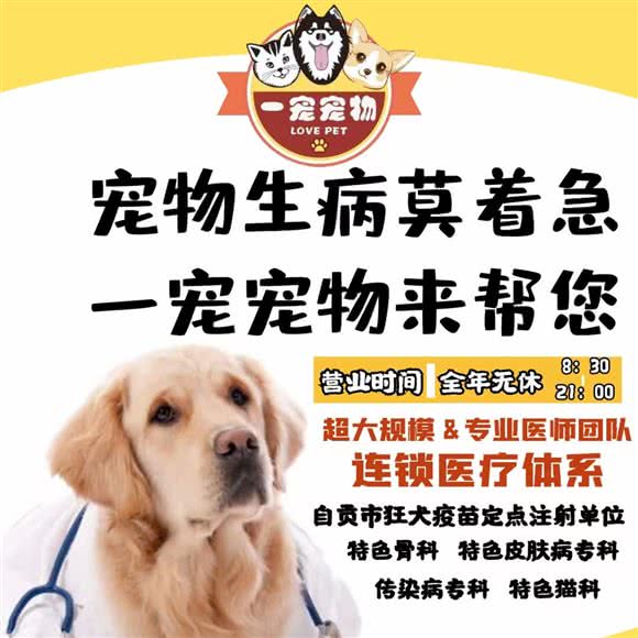 一宠宠物医疗(华商国际城店):自贡市自流井区华商国际城附近
