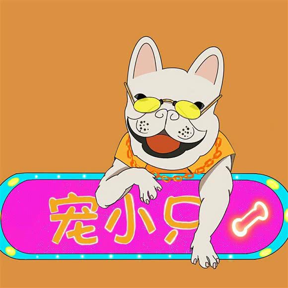 宠小只-服务好每只宝贝:北京城区朝阳区青年路附近