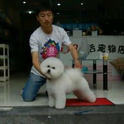 艾拉宠物(美容店):自贡市自流井区一对山附近