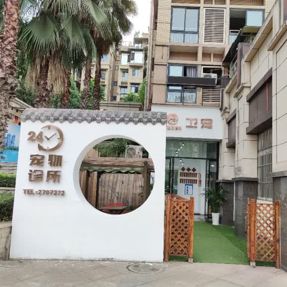 卫宠宠物诊所:自贡市自流井区南湖体育场附近