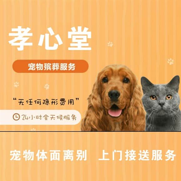 孝心堂宠物殡葬中心:自贡市自流井区汇东/百盛购物广场附近