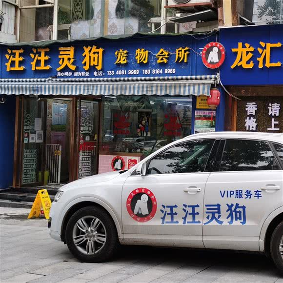 汪汪灵狗宠物会所:自贡市自流井区汇东/九鼎购物广场附近
