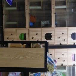 汪汪灵狗:自贡市自流井区汇东/九鼎购物广场附近