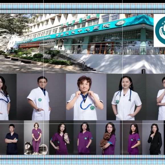 攀枝花博美欣宠中心医院:攀枝花市东区曼哈顿/凤凰美食街附近