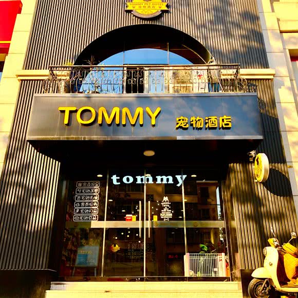 Tommy宠物酒店:石家庄市桥西区西三教附近
