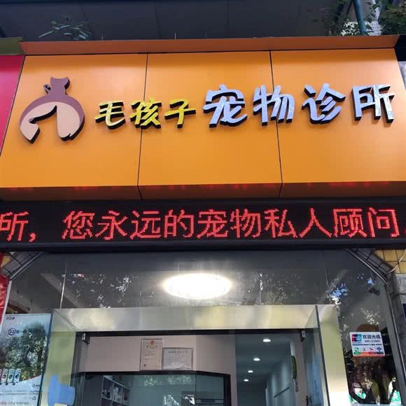 毛孩子宠物诊所:攀枝花市仁和区同乐世界附近
