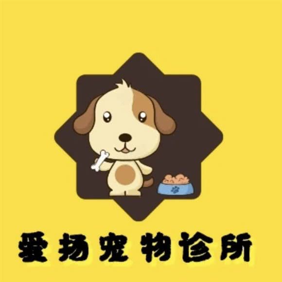 爱扬宠物诊所:攀枝花市仁和区沙沟/大河中学附近