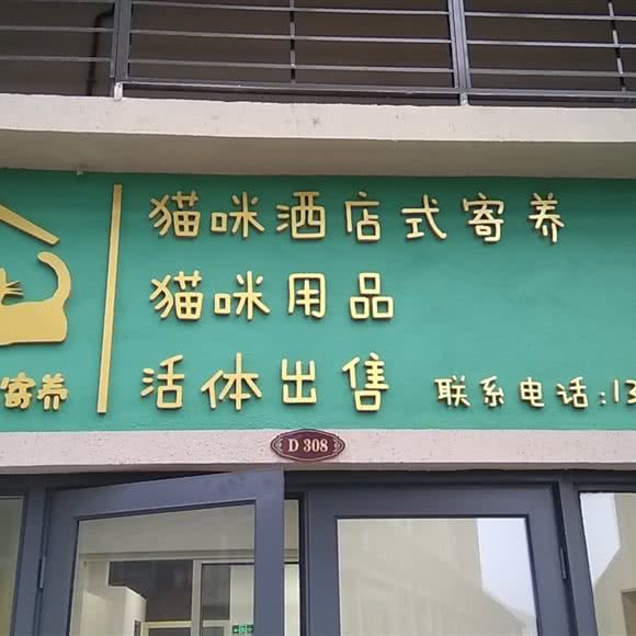 喵屋猫咪酒店式寄养:泸州市江阳区酒城大道附近