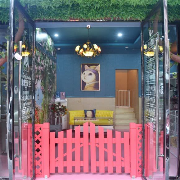 圣宠狗狗酒店:泸州市江阳区大山坪/市政府附近