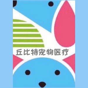 丘比特宠物医疗:泸州市江阳区江城/佳乐广场附近