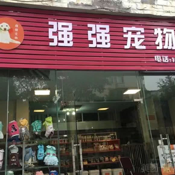 强强宠物:泸州市龙马潭区老窖广场/巨洋大剧院附近