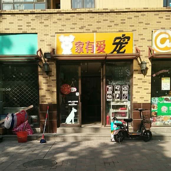 家有爱宠:石家庄市桥西区西美花街附近
