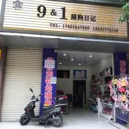 9&1猫狗日记:德阳市旌阳区彩泉天街附近