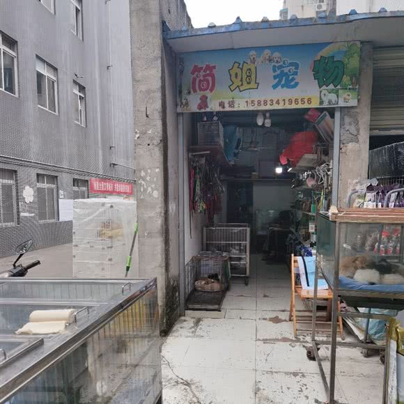 简姐宠物:德阳市旌阳区彩泉天街附近