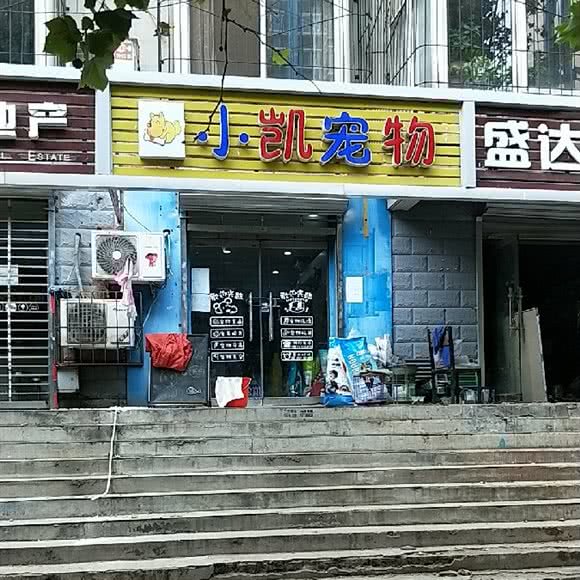 小凯宠物:石家庄市桥西区西美花街附近