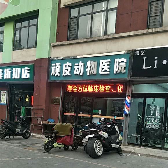 顽皮动物医院:石家庄市桥西区西美花街附近