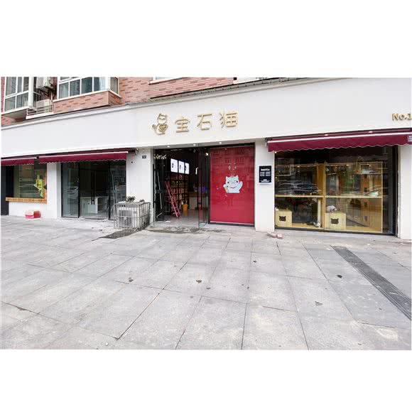 宝石猫·猫舍:德阳市旌阳区龙泉山路附近