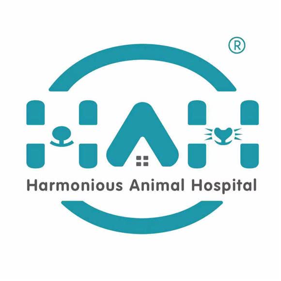 谐和动物医院(泰山南路店):德阳市旌阳区二重本部附近