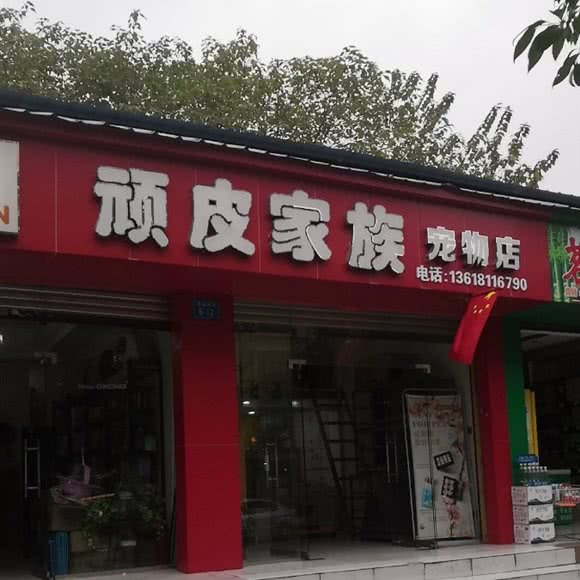 顽皮家族宠物店(花园店):绵阳市涪城区涪城万达广场附近