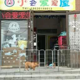 小会爱宠生活馆:石家庄市新华区水上公园附近