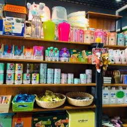 小类宠物:石家庄市新华区水上公园附近