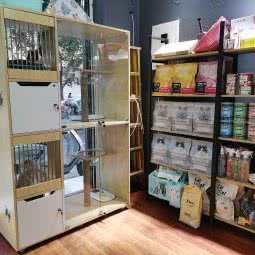 这里有猫:绵阳市涪城区御营坝附近