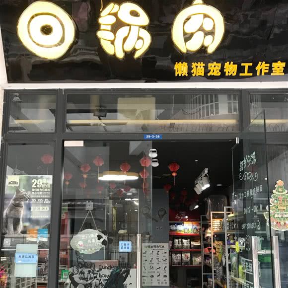 回锅肉懒猫宠物工作室:绵阳市涪城区长虹国际城附近