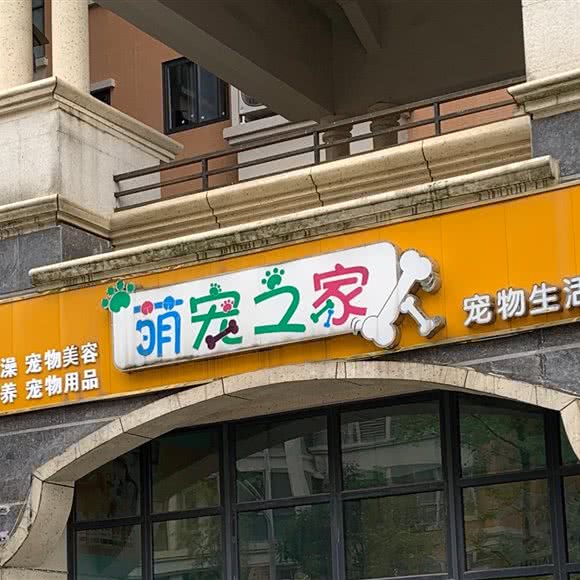 萌宠之家:绵阳市涪城区园艺山/西山公园附近
