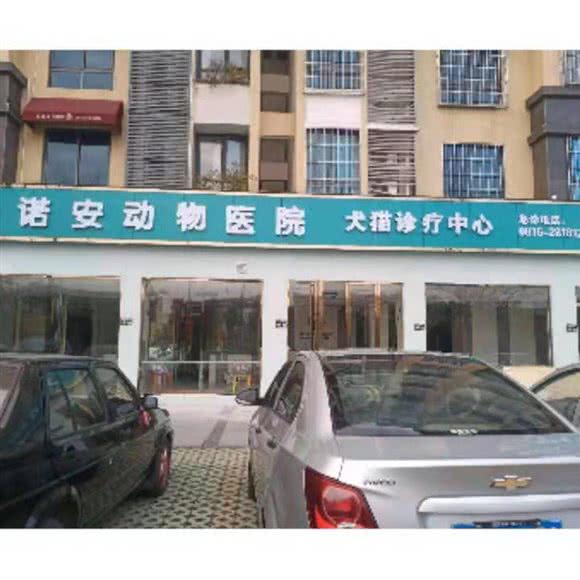 诺安动物医院(园艺山店):绵阳市涪城区园艺山/西山公园附近