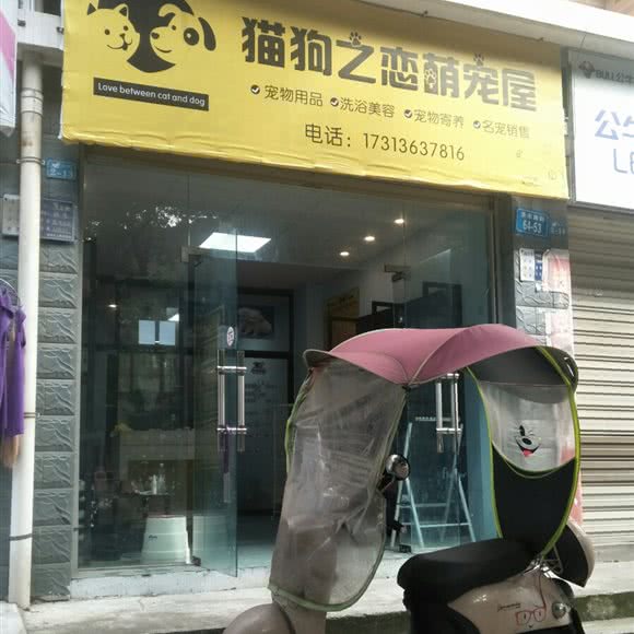 猫狗之恋萌宠屋:绵阳市涪城区高水附近