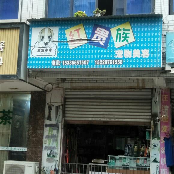 爱宠小家红贵族宠物美容:绵阳市涪城区高水附近