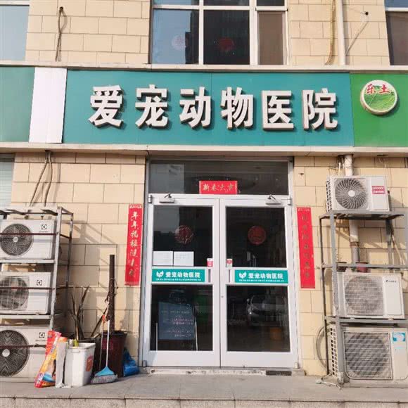 爱宠动物医院:石家庄市新华区石岗大街附近