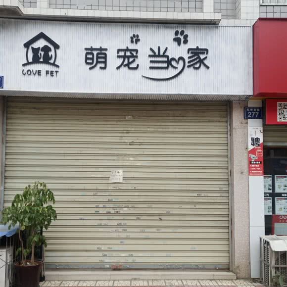 萌宠当家(红桥西路店):绵阳市涪城区南湖附近