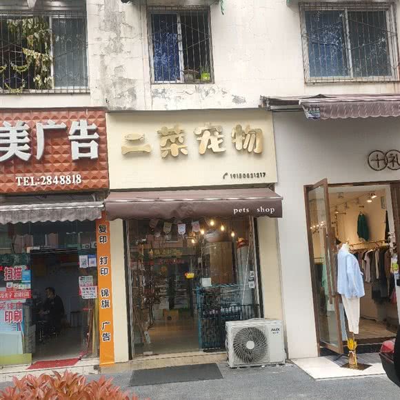 二菜宠物:绵阳市涪城区火炬广场/阳光西雅图附近