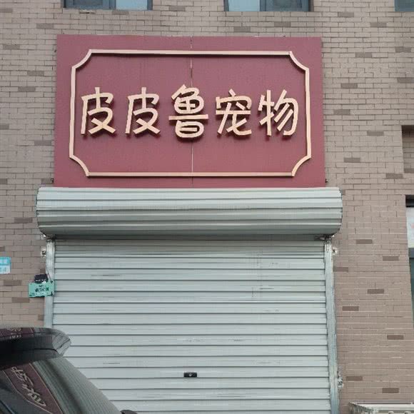 皮皮鲁宠物:石家庄市新华区赵佗公园附近