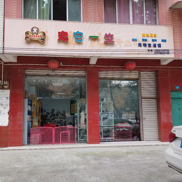 宠它一生:绵阳市涪城区青义附近