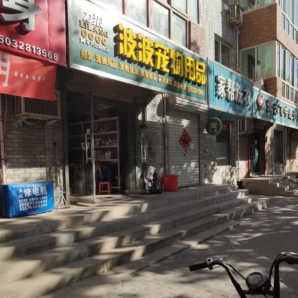 波波宠物:石家庄市新华区赵佗公园附近