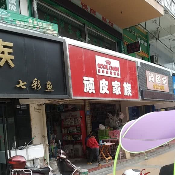 顽皮家族宠物店(小北街店):绵阳市涪城区市中心附近