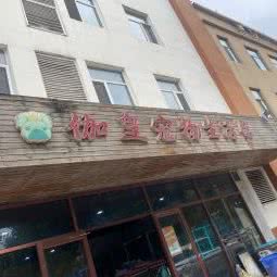 伽皇宠物生活馆:石家庄市新华区赵佗公园附近