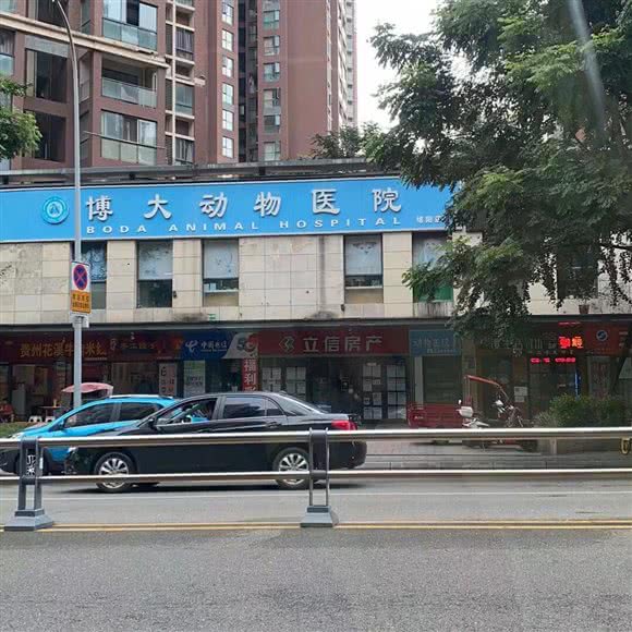 博大动物医院(绵阳店):绵阳市涪城区华润/奥林春天附近