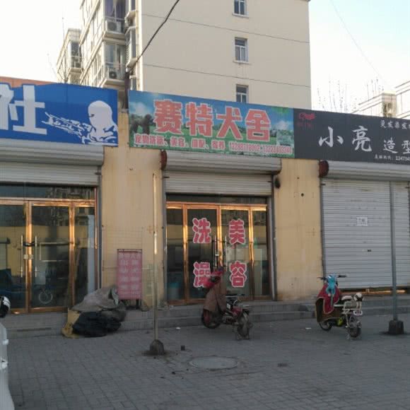 赛特犬舍:石家庄市新华区赵佗公园附近