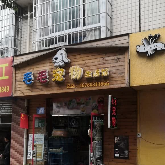 毛毛宠物生活馆:绵阳市游仙区开元场/三医院附近