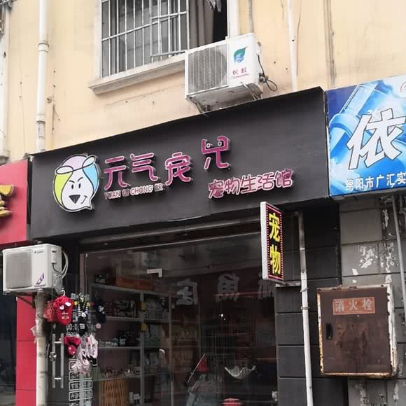 元气宠儿宠物生活馆:绵阳市游仙区开元场/三医院附近