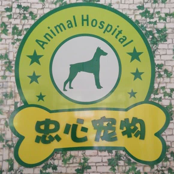 忠心宠物诊所:广元市利州区东坝附近