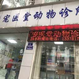 宠医堂动物诊所:广元市利州区东坝附近