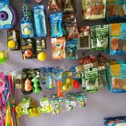 小夏宠物店:广元市利州区万达广场附近