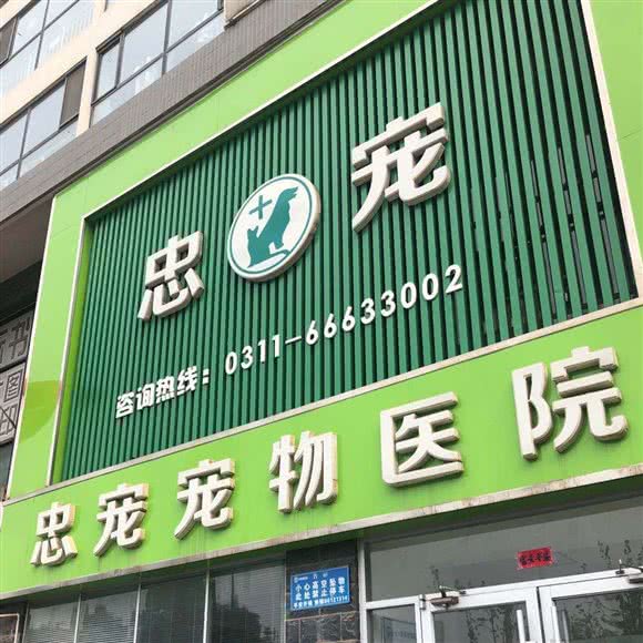 忠宠宠物医院:石家庄市新华区赵佗公园附近